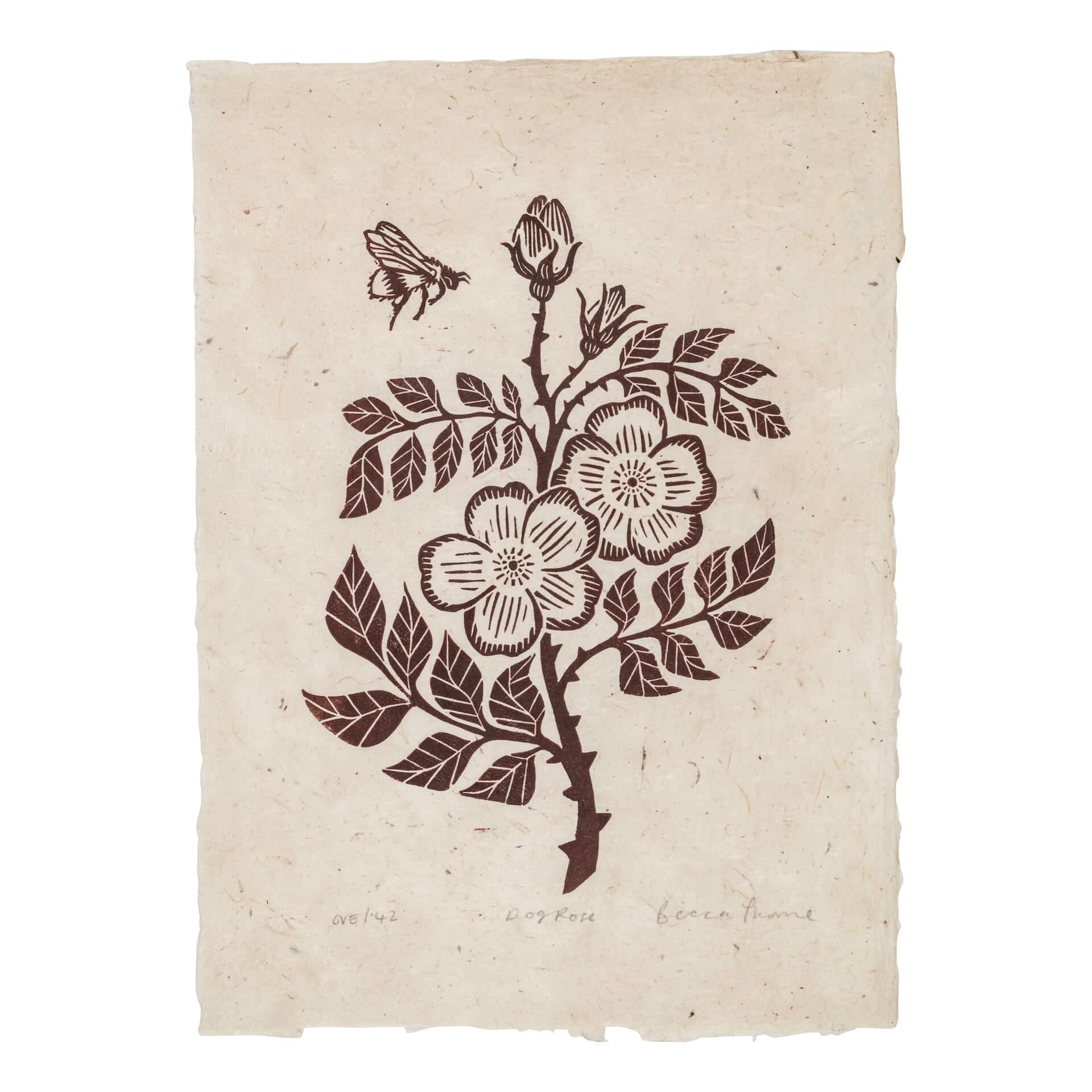 Becca Thorne Illustration Hedgerow 'Dog Rose' Original Lino Print (in multiple colours)