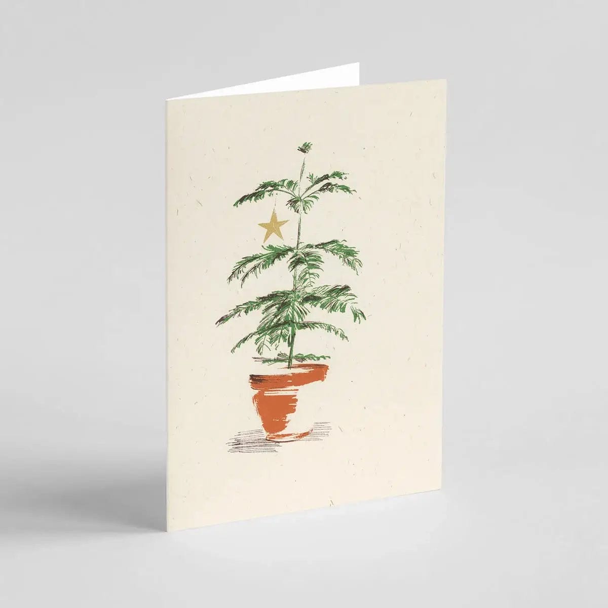 Ben Rogers Prints Greetings Card Norfolk Pine - Christmas Greeting Card