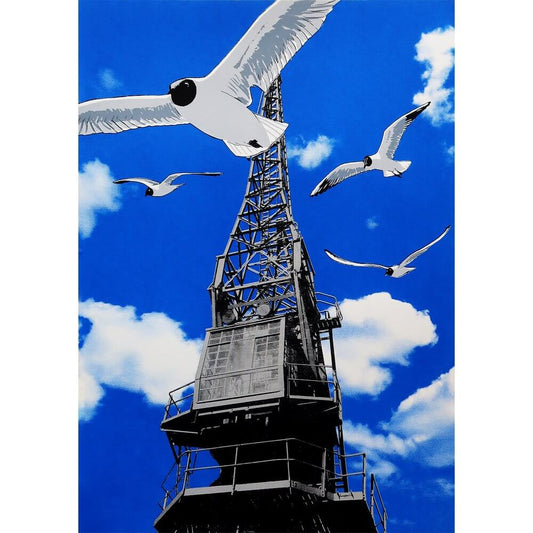 Fiona Hamilton Prints Harbour Gulls Screen Print (Three Varieties)