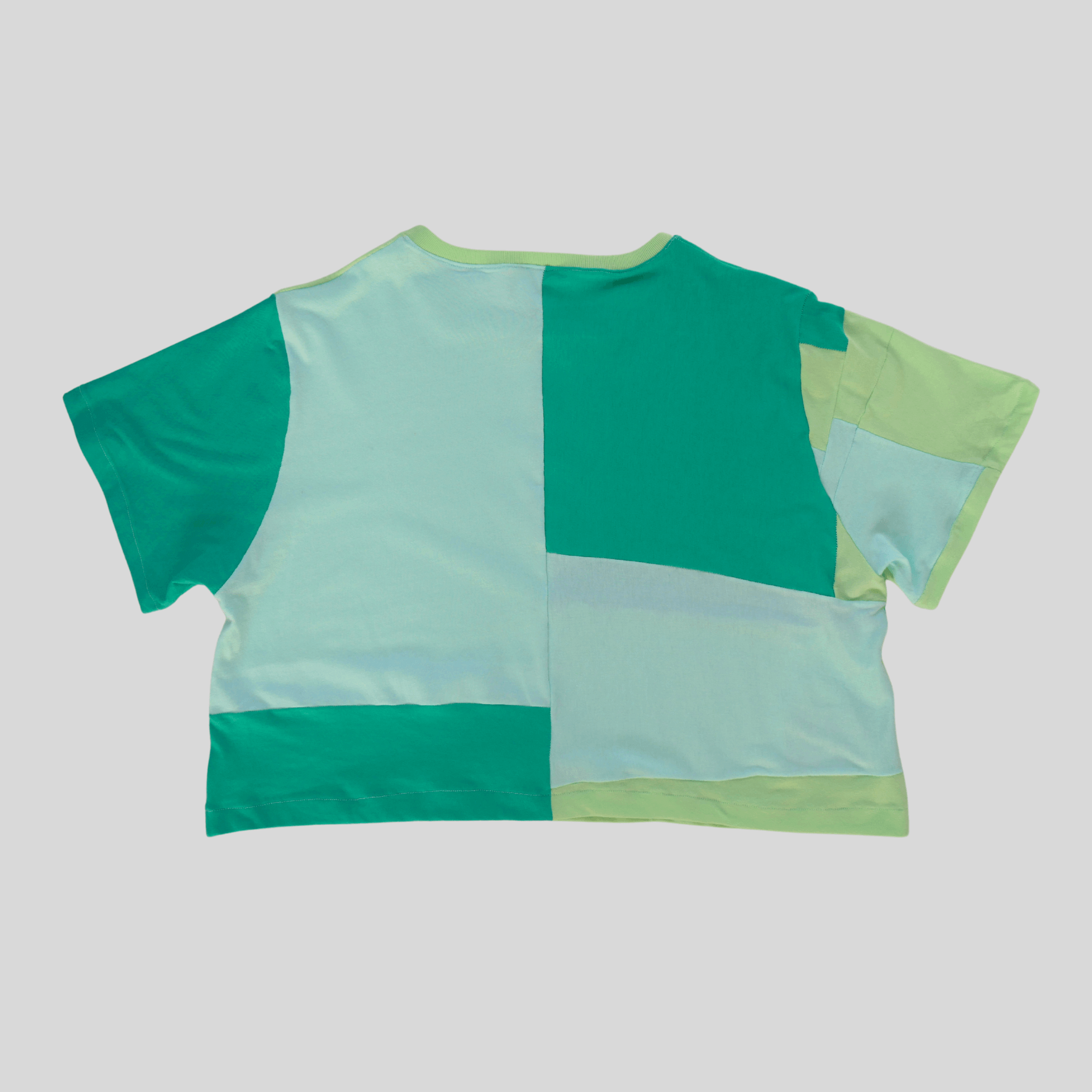 Fruit Salad Clothing Sustainable Crop T-shirt - Green Tones