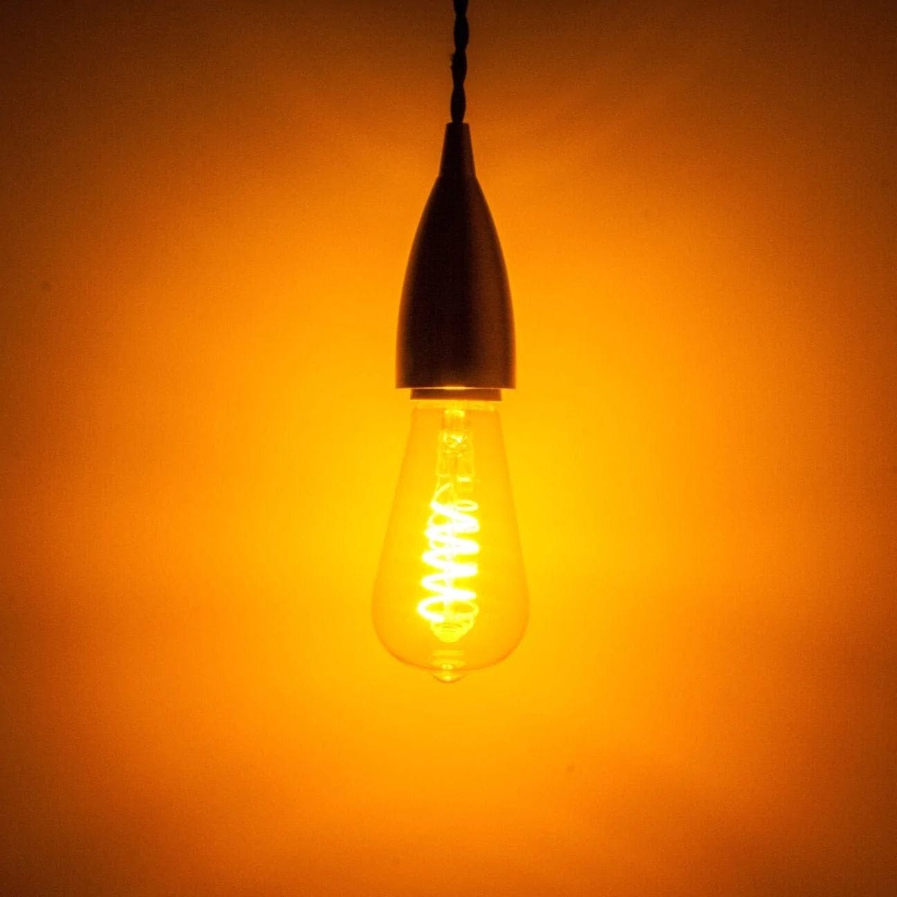 Priormade Bulb Teardrop Spiral Filament bulb (LED)