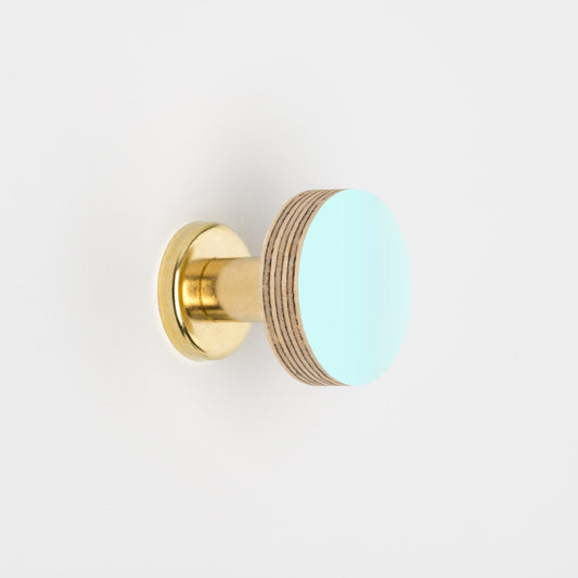 Priormade Cabinet Knob Birch & Brass Knob in Aqua Blue