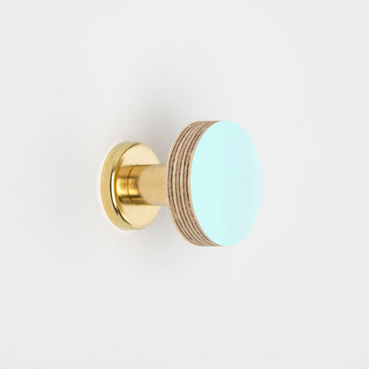 Priormade Cabinet Knob Birch & Brass Knob in Aqua Blue