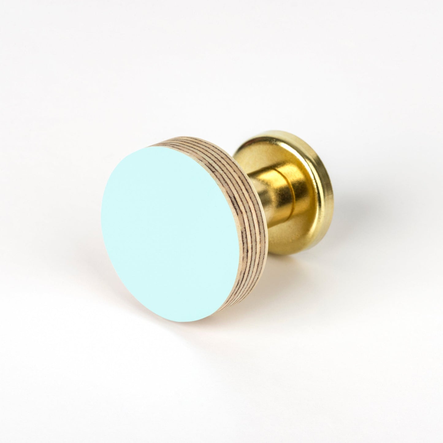 Priormade Cabinet Knob Birch & Brass Knob in Aqua Blue