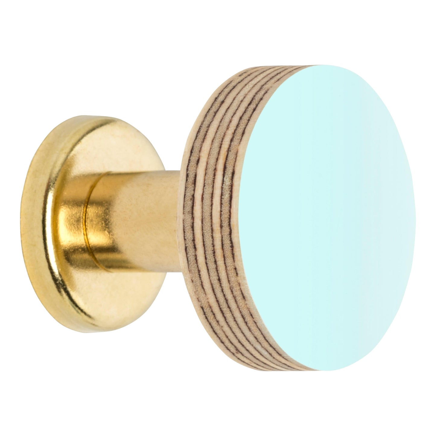 Priormade Cabinet Knob Birch & Brass Knob in Aqua Blue