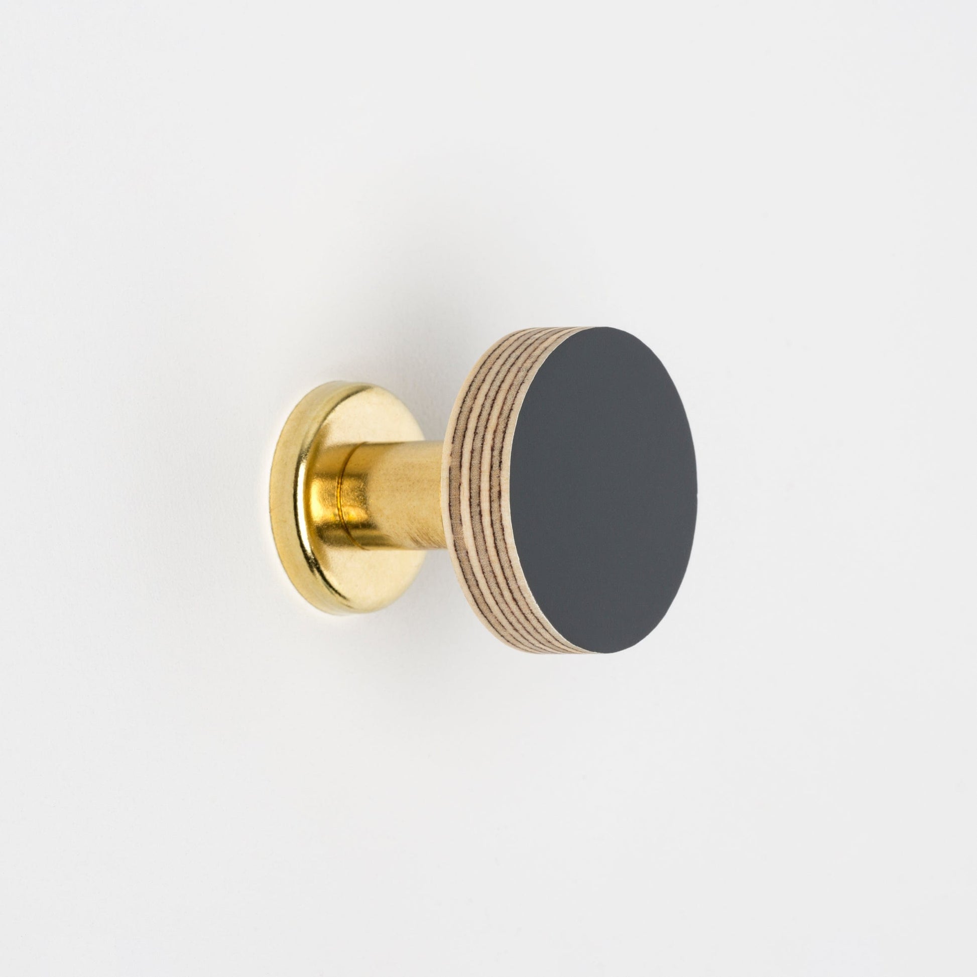 Priormade Cabinet Knob Birch & Brass Knob in Charcoal