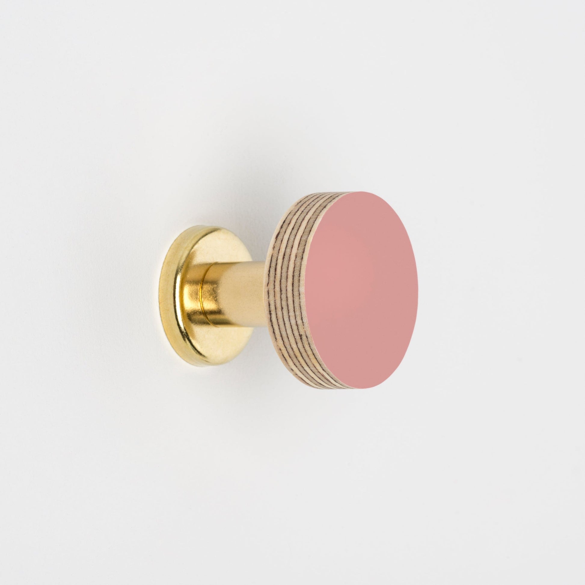 Priormade Cabinet Knob Birch & Brass Knob in Dusty Pink