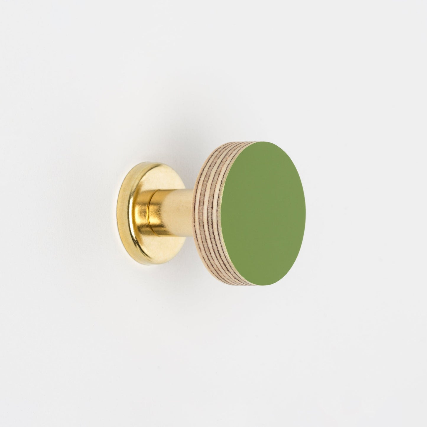 Priormade Cabinet Knob Birch & Brass Knob in Fern Green