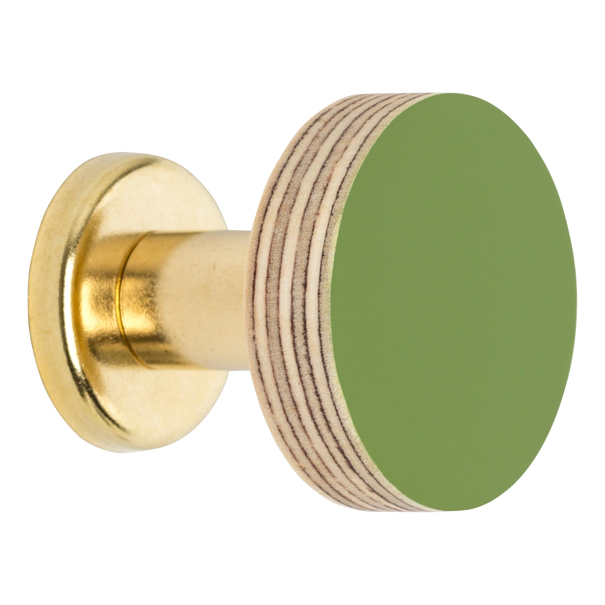 Priormade Cabinet Knob Birch & Brass Knob in Fern Green