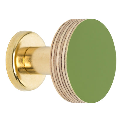 Priormade Cabinet Knob Birch & Brass Knob in Fern Green