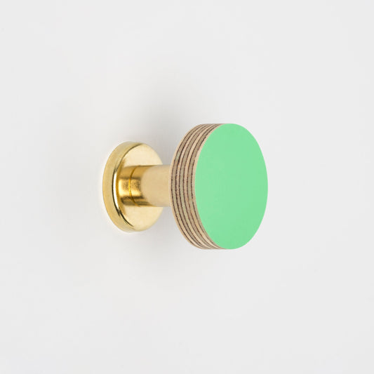 Priormade Cabinet Knob Birch & Brass Knob in Mint Green