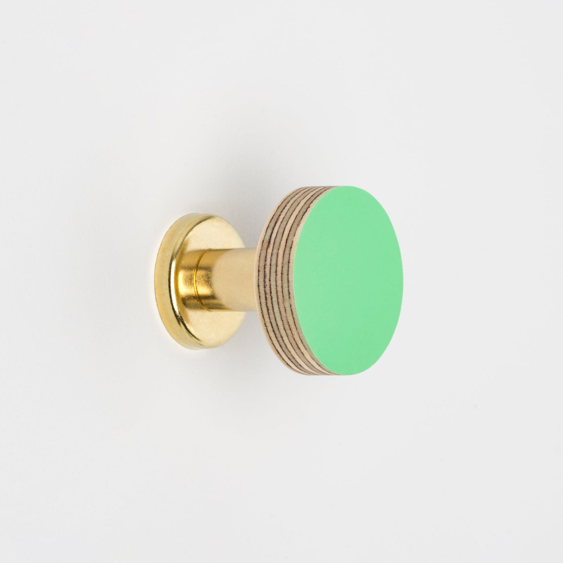 Priormade Cabinet Knob Birch & Brass Knob in Mint Green