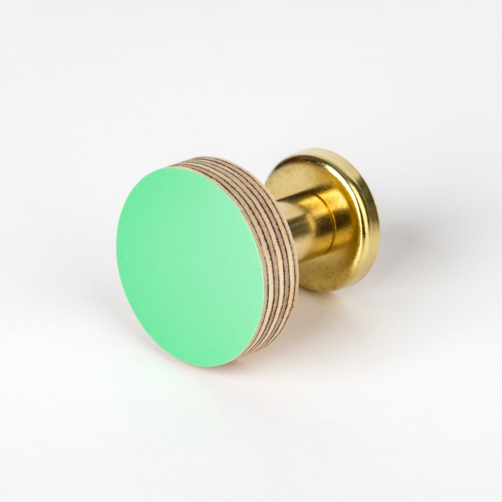 Priormade Cabinet Knob Birch & Brass Knob in Mint Green