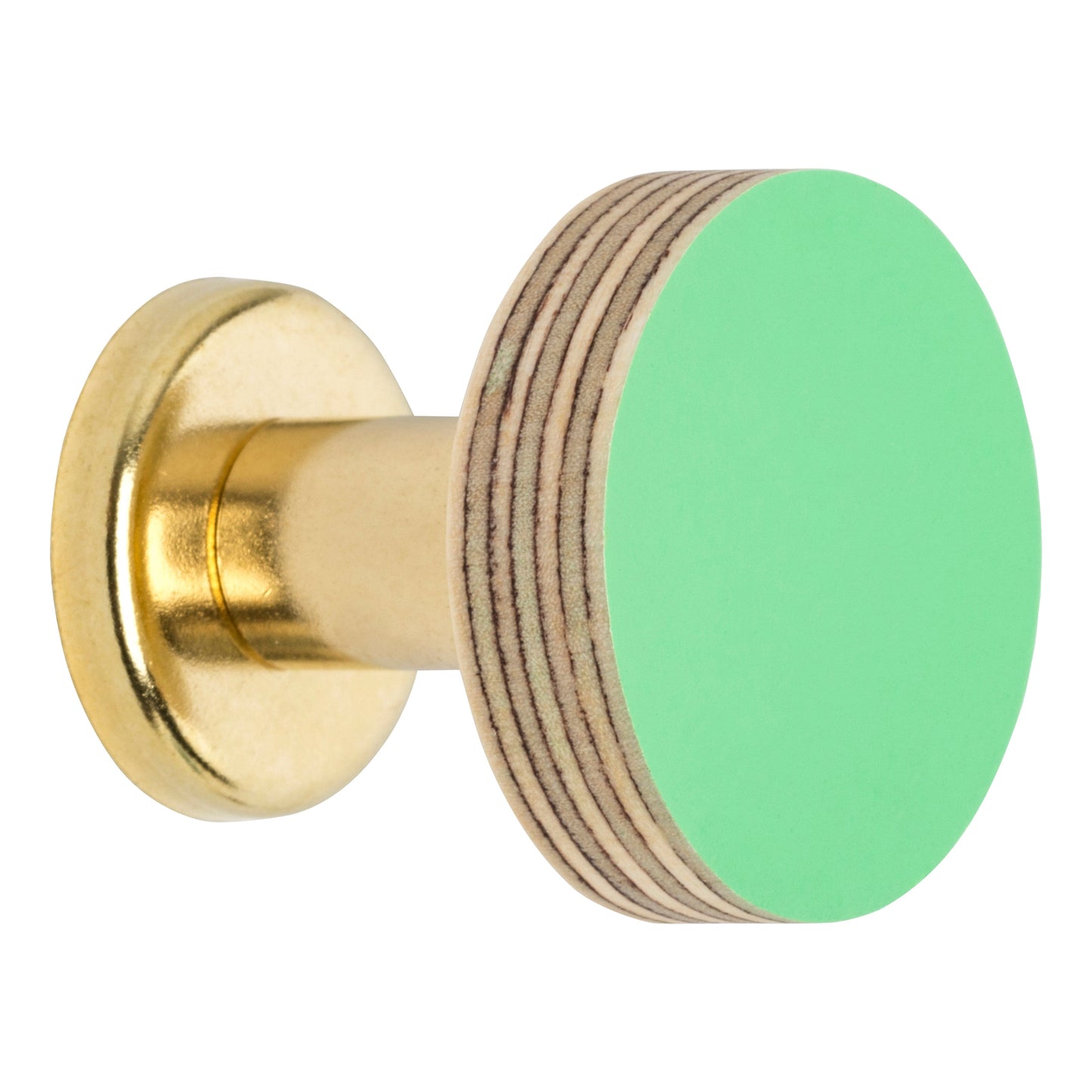 Priormade Cabinet Knob Birch & Brass Knob in Mint Green