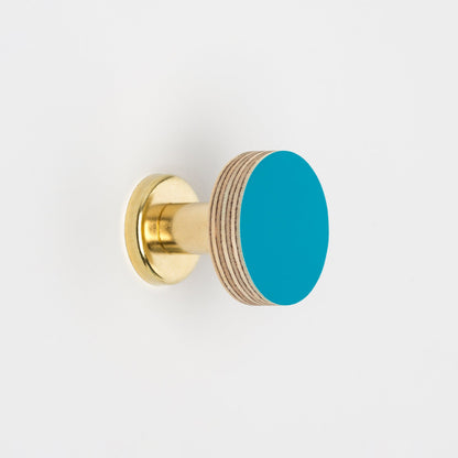 Priormade Cabinet Knob Birch & Brass Knob in Peacock Blue