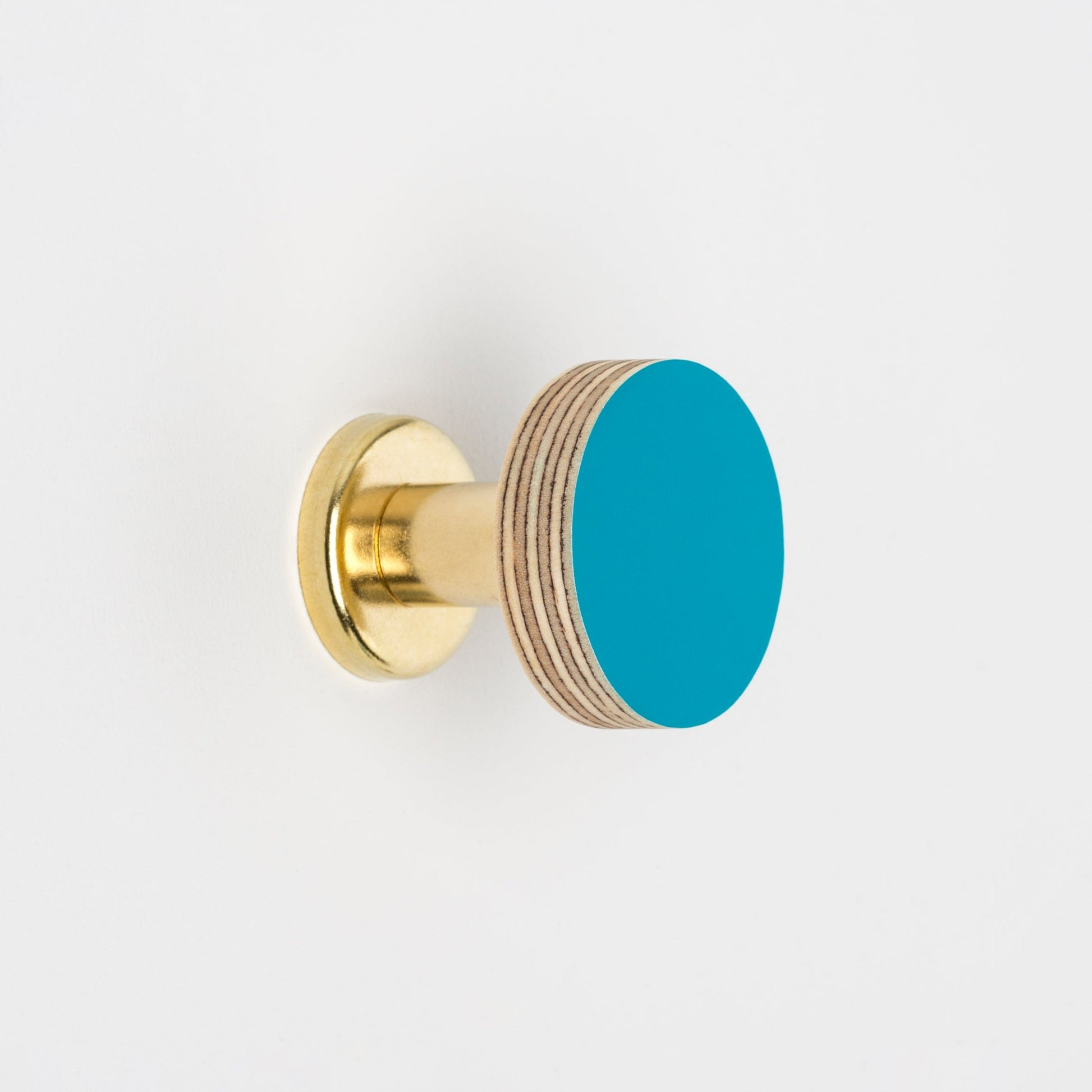 Priormade Cabinet Knob Birch & Brass Knob in Peacock Blue