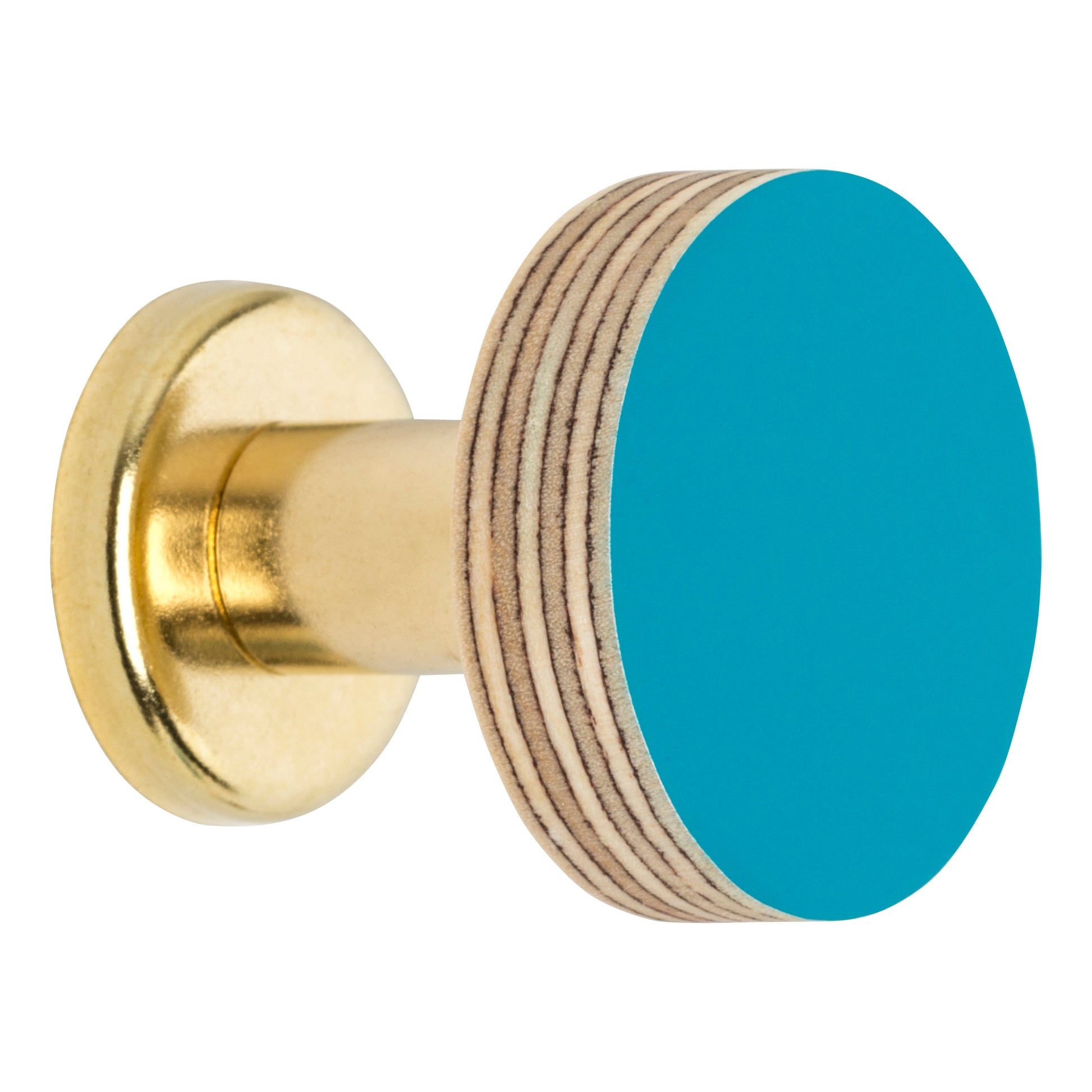 Priormade Cabinet Knob Birch & Brass Knob in Peacock Blue