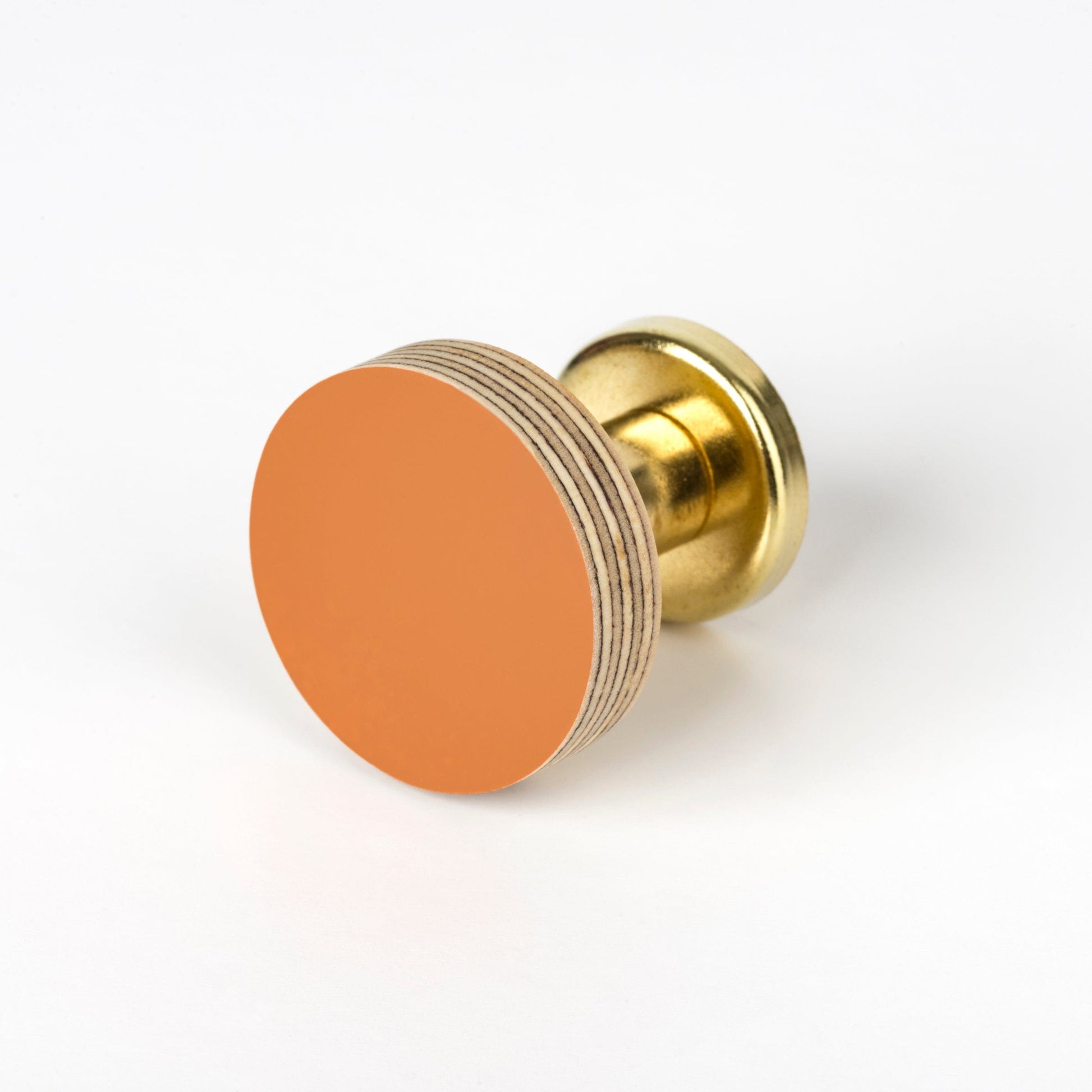 Priormade Cabinet Knob Birch & Brass Knob in Rust Orange