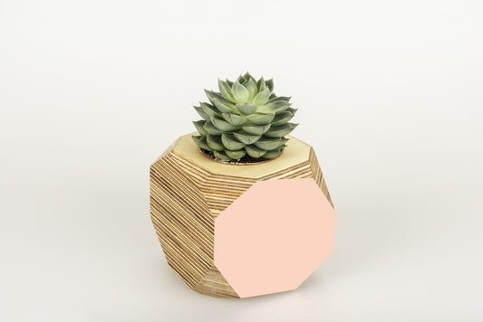 Priormade Geo Vessel Geo Vessel - Blush Pink