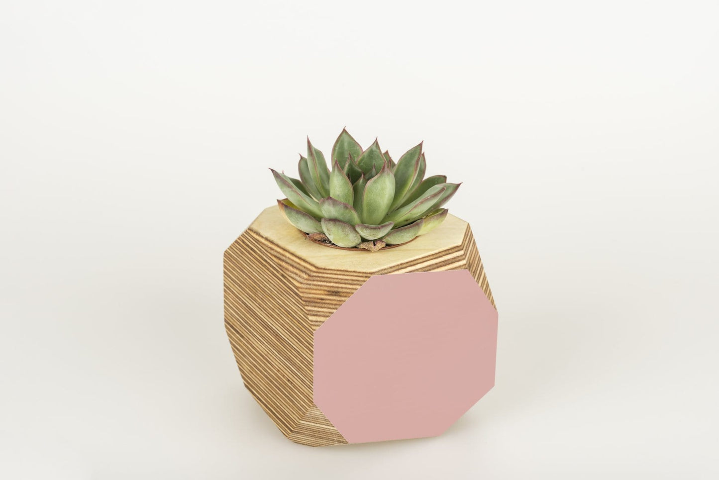 Priormade Geo Vessel Geo Vessel - Dusty Pink