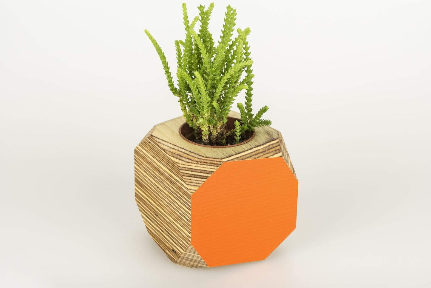 Priormade Geo Vessel Geo Vessel - Orange