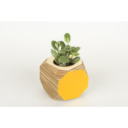 Priormade Geo Vessel Mustard Yellow SALE 30% off - Geo | Vessels - side painted (various colours)