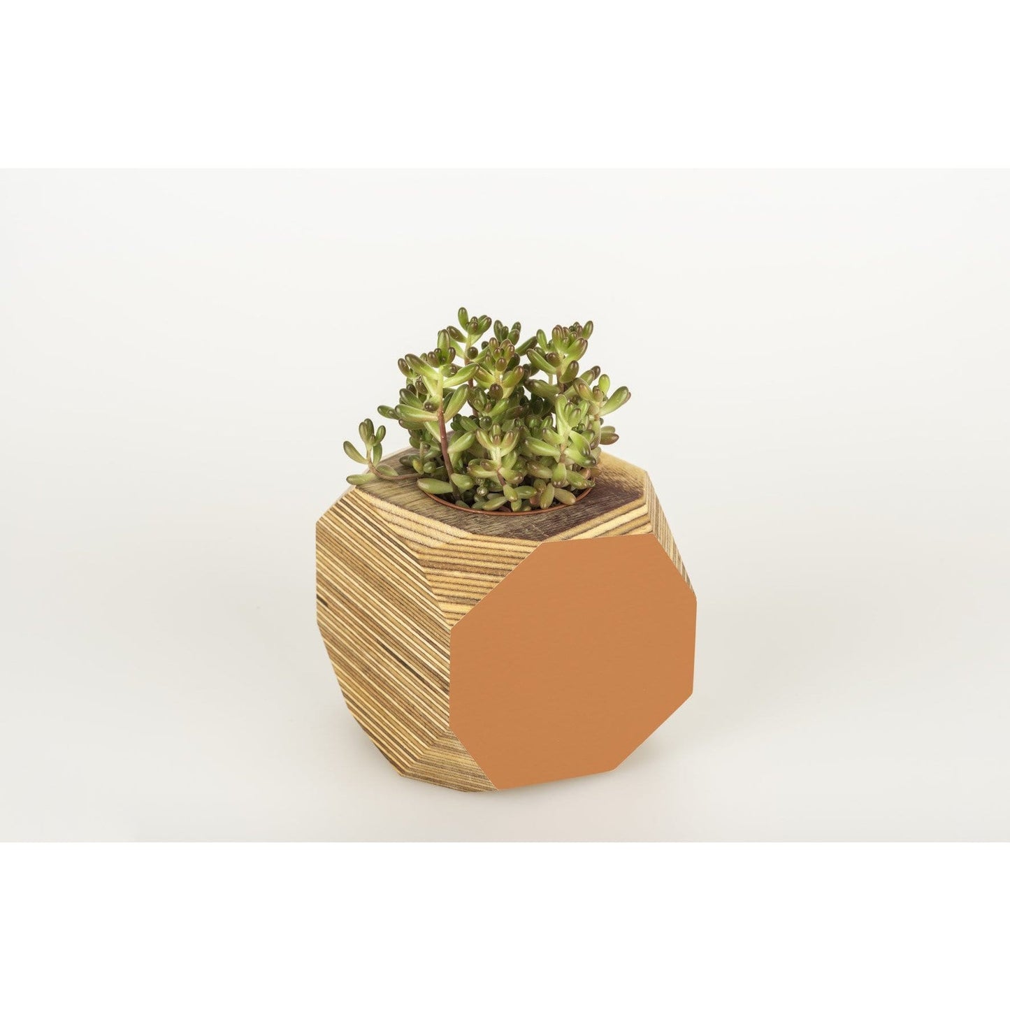 Priormade Geo Vessel Rust Orange SALE 30% off - Geo | Vessels - side painted (various colours)