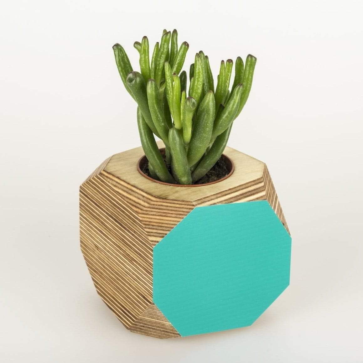 Priormade Geo Vessel SALE 30% off - Geo | Vessels - side painted (various colours)