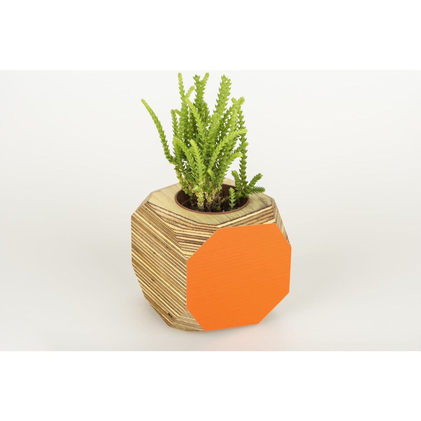 Priormade Geo Vessel SALE 30% off - Geo | Vessels - side painted (various colours)