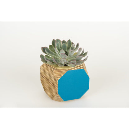 Priormade Geo Vessel SALE 30% off - Geo | Vessels - side painted (various colours)