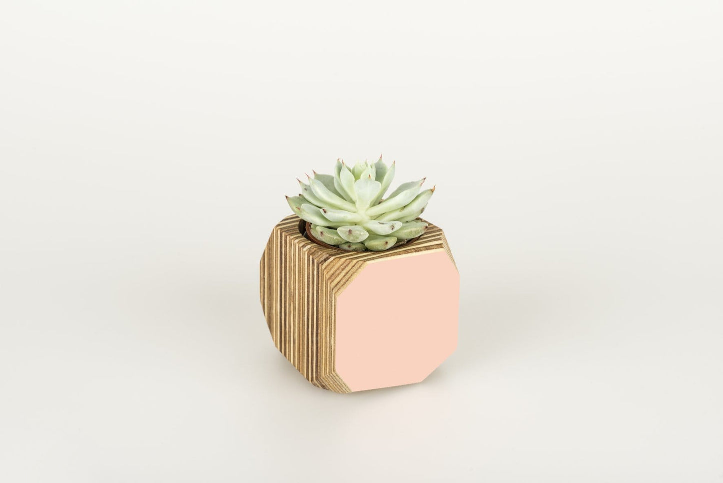 Priormade Mini Geo Vessel Mini Geo Vessels - Blush Pink