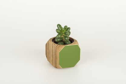 Priormade Mini Geo Vessel Mini Geo Vessels - Fern Green