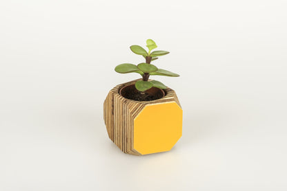 Priormade Mini Geo Vessel Mini Geo Vessels - Mustard Yellow