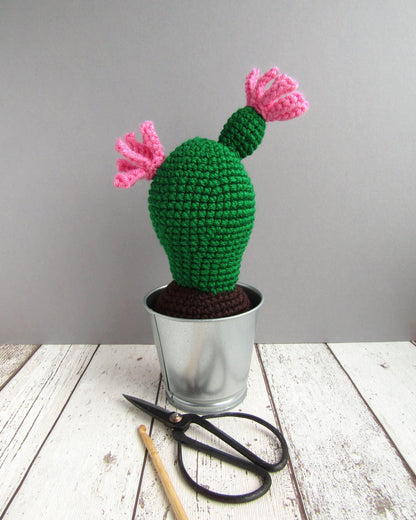 Tenguerengue Art & Craft Kits Crochet Kit : Cactus