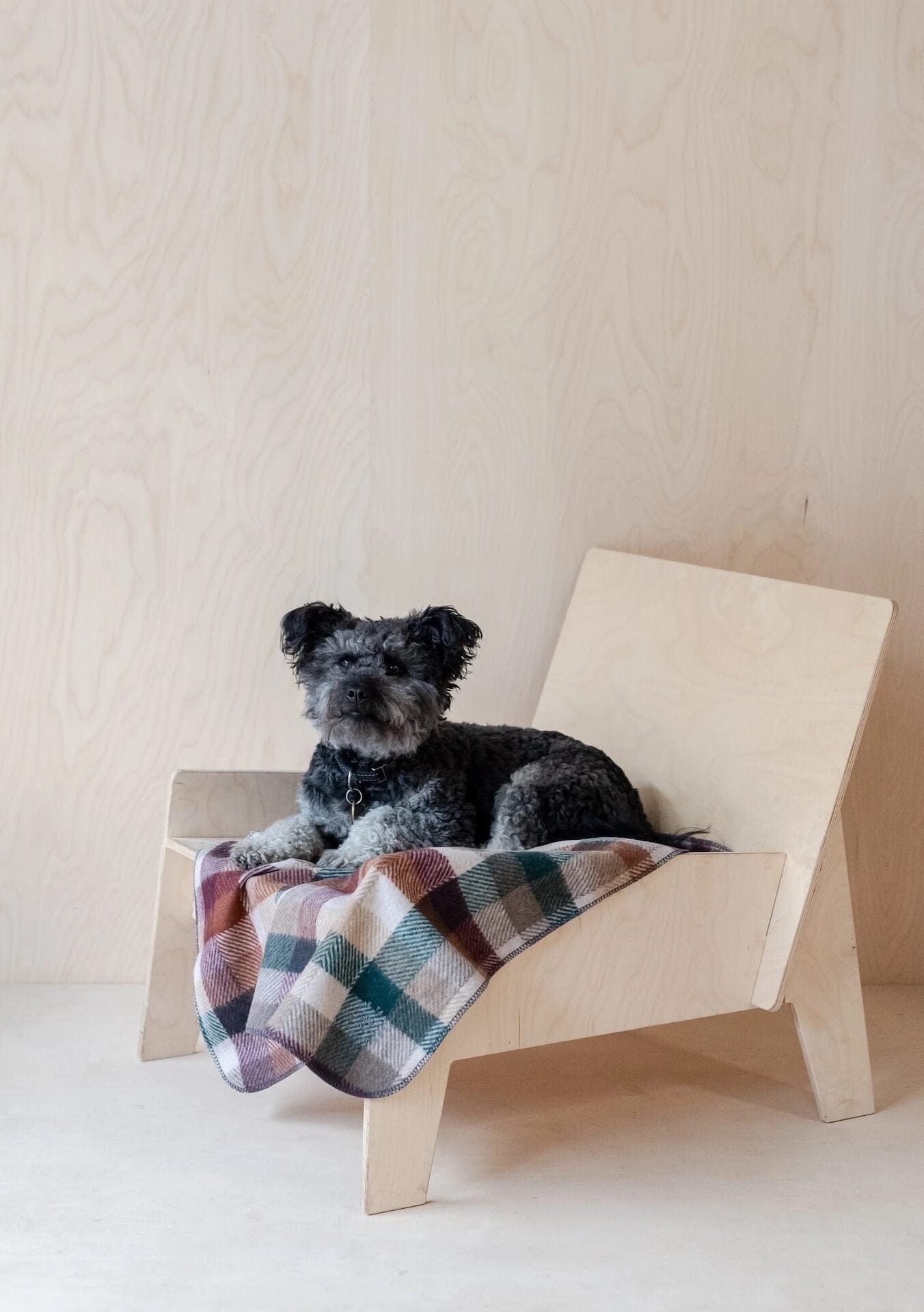 The Tartan Blanket Co Blankets Pet Blanket  - Recycled Wool 'Forest Herringbone Check'